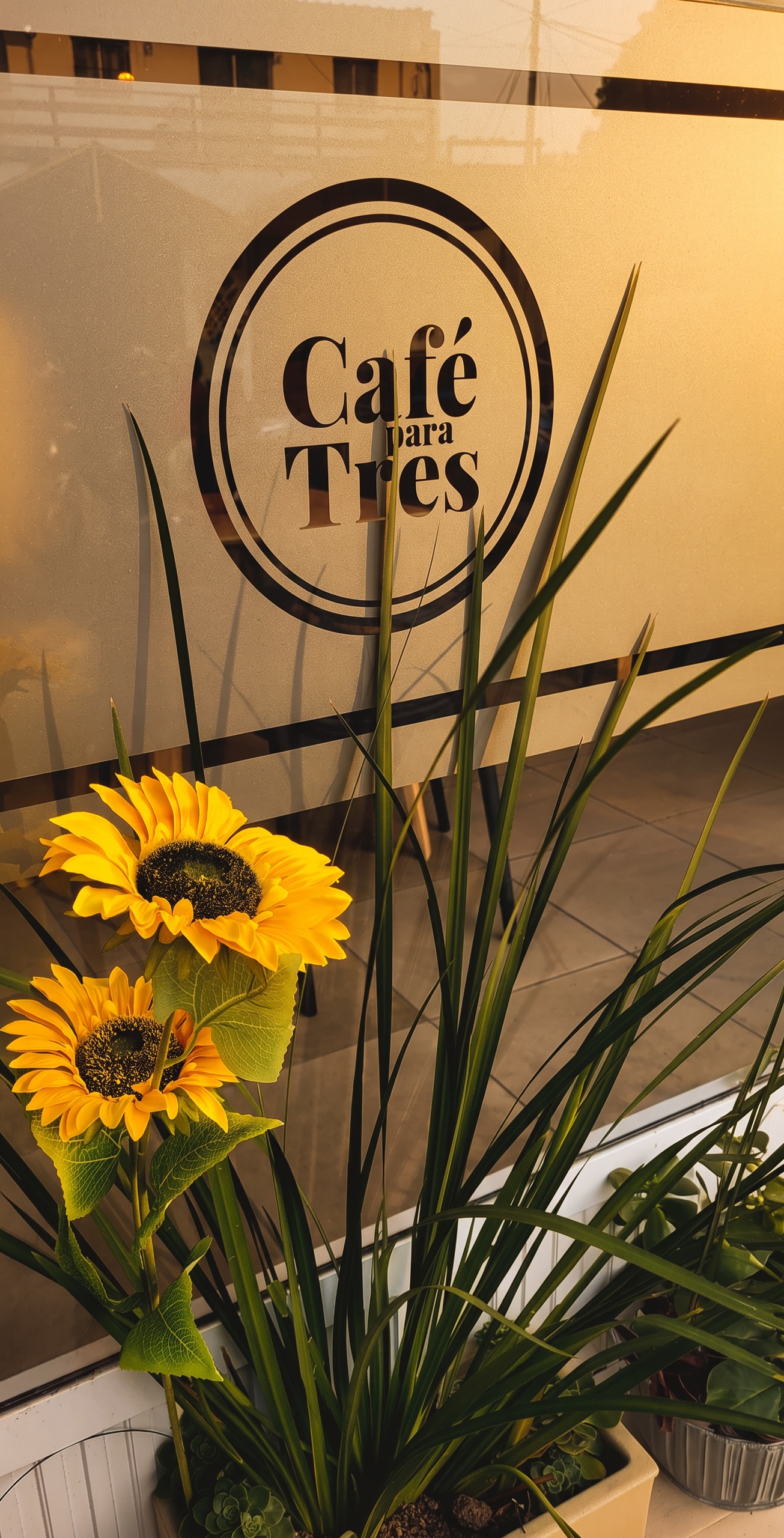Vidriera de Café Para Tres con girasoles y luz natural